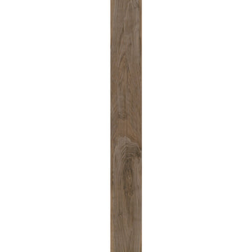 Terra