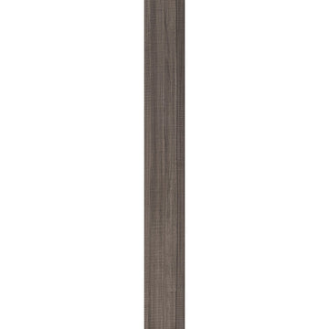 Bronzite