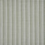 Radiant Stripe in Agave Carpet