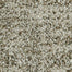 Random Nature in Aberdeen Carpet