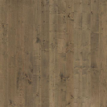 Compass Maple