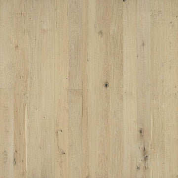 Halyard Oak