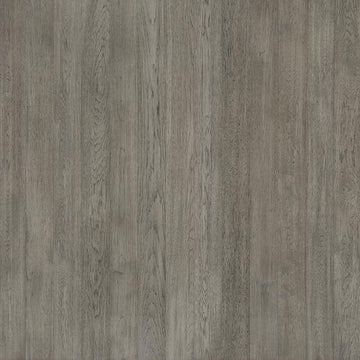 Windward Hickory