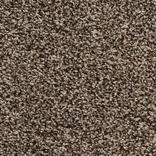 Refreshing Shades in Allure Carpet