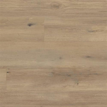Canadian Urban Oak