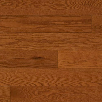 Auburn 5"