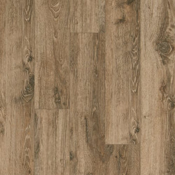 Pecan