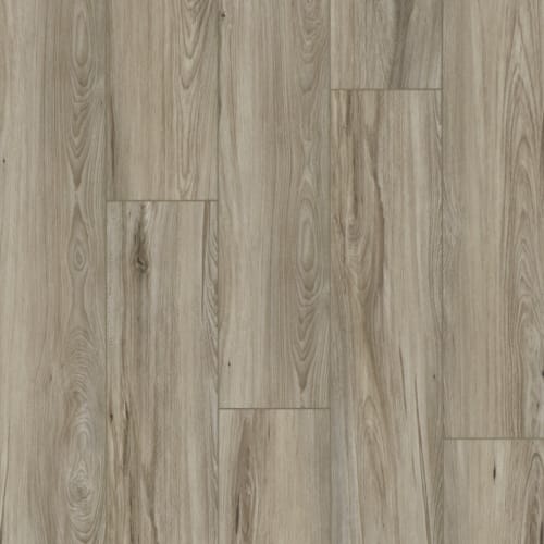 REALTA SPC - Oasis