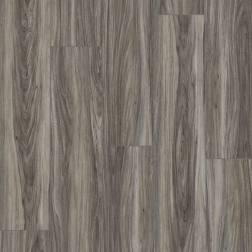 REALTA SPC - Elmwood