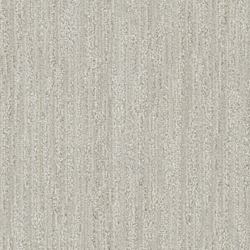 Silver Fir