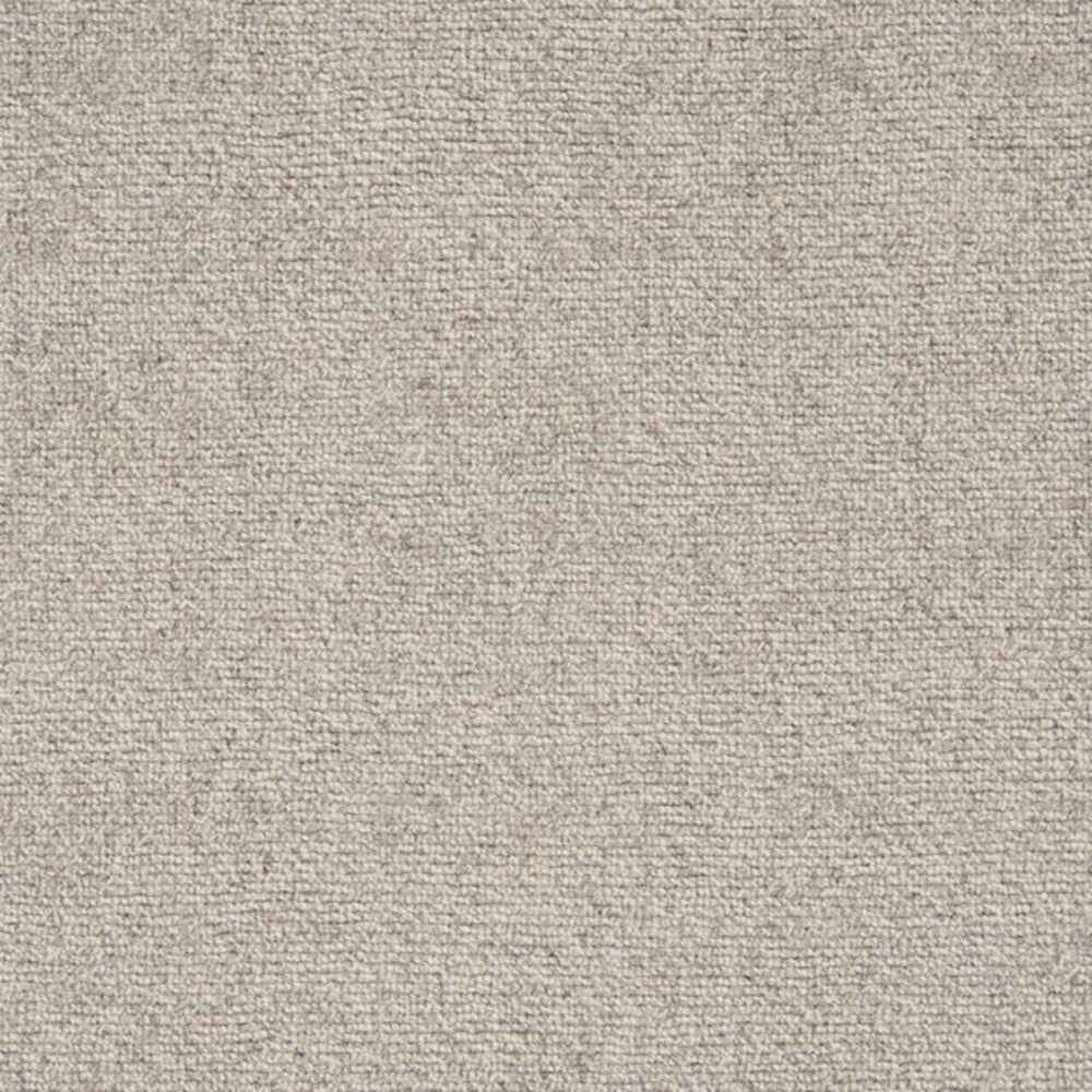 Broadview in Silver Carpet