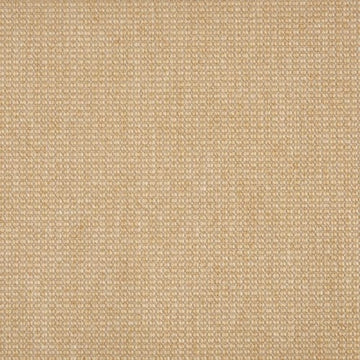Maize