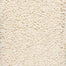 Shaggy Luxe in Ivory Carpet