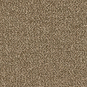 Aged Leather