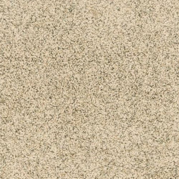 Poppy Seed
