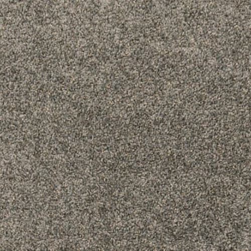 Paw Pathway in Ash Carpet