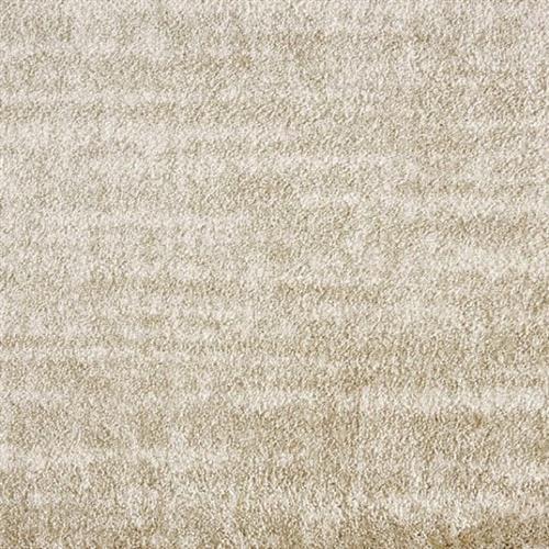 Spirited in Canvas Carpet