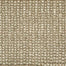 Sundara in Fawn Carpet