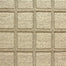 Synergy in Fossil Grey Carpet