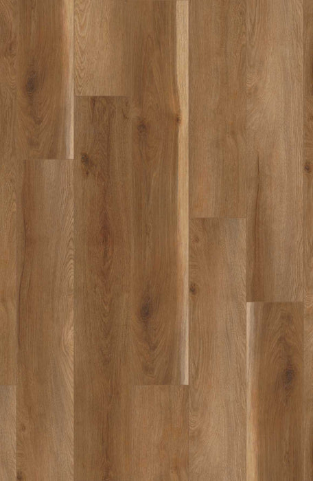 Comfort Classics in Sapwood Oak