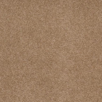 Contempo