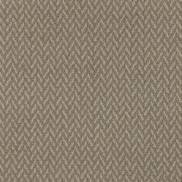 Taupe Hue
