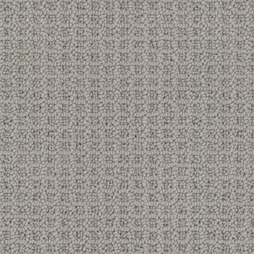 Dolphin Grey