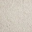 Shaggy Superstar in Bone Carpet