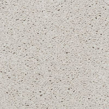 Shell Tint