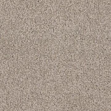 Sandpiper