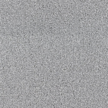 Seagull