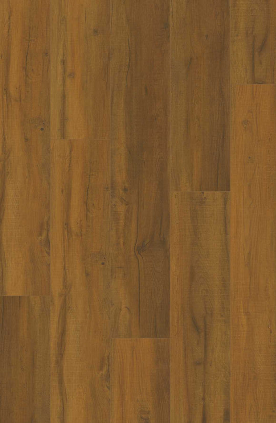 Steamboat Oak