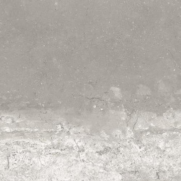Line Grey - 12x24