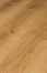 Studio Oak