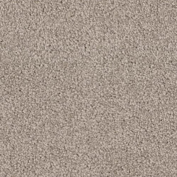 Sandpiper