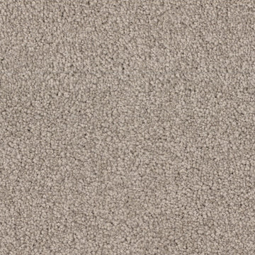 Sandpiper