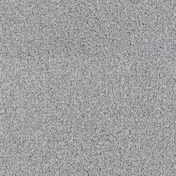 Seagull