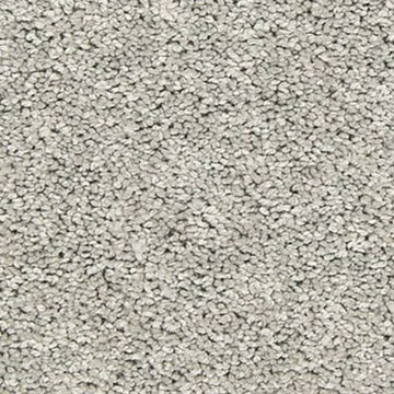 Winter Ash