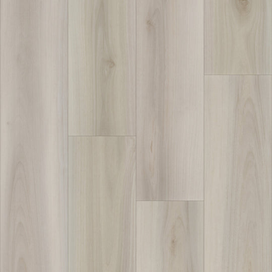 eNergy Flex - Dry Back