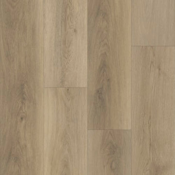Stormy Oak