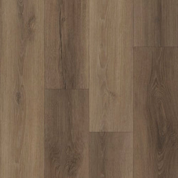 Yosemite Oak