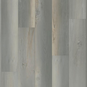 Ocean Pine