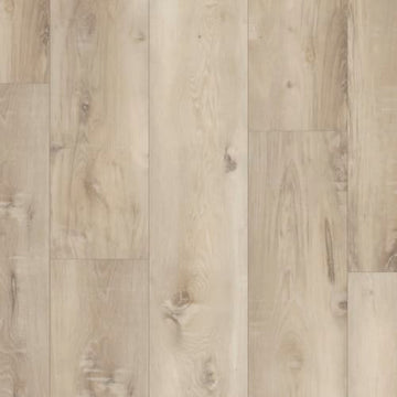 Fountainbleau Oak