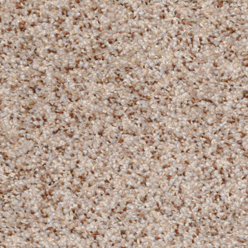 Oatmeal Raisin
