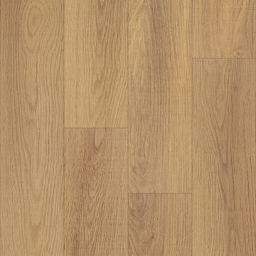 Windsor Oak