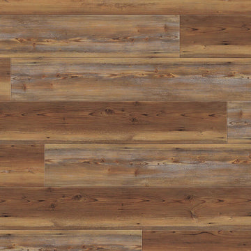 Appalachian Pine