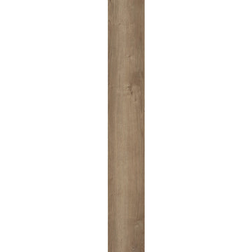 Copano Oak