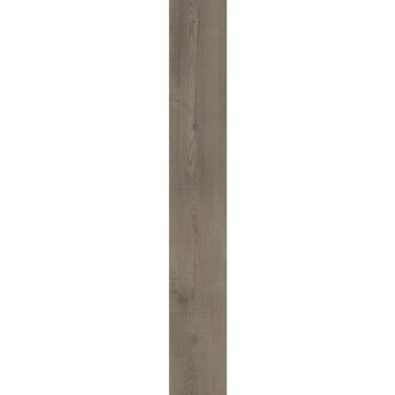 Laguna Oak