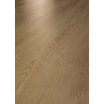 Plainfield Oak