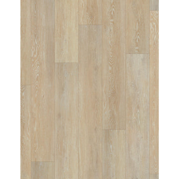 Ivory Coast Oak